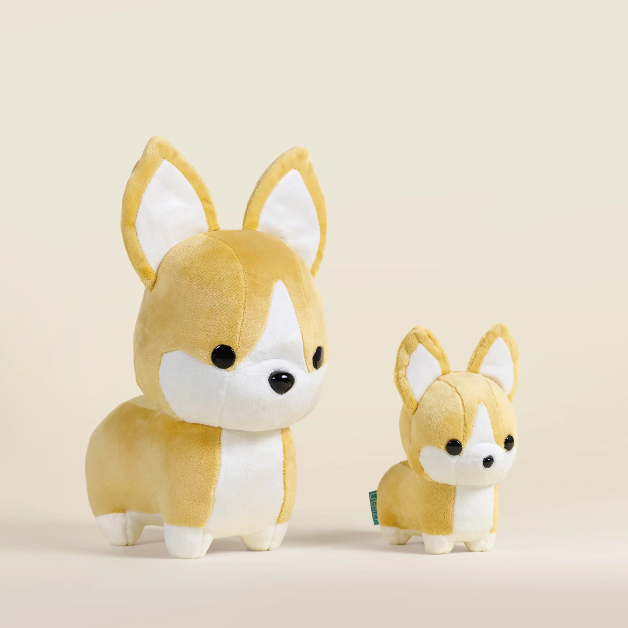 Mini Corgi the Dog - Image 11