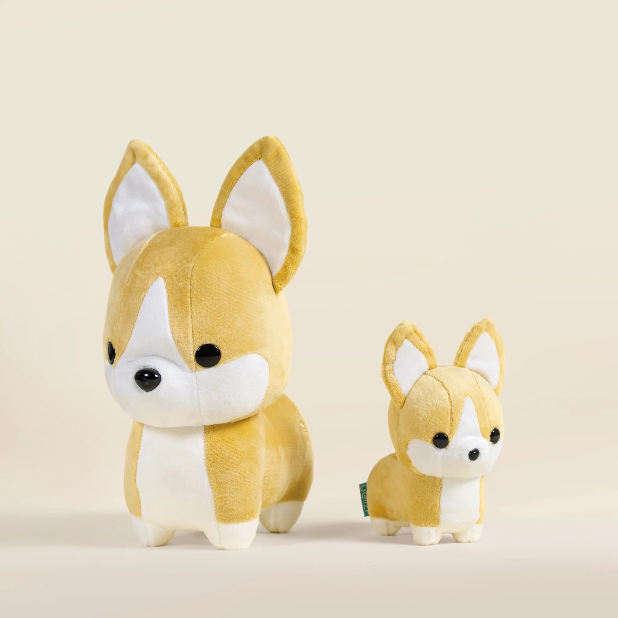 Corgi the Dog - Image 11