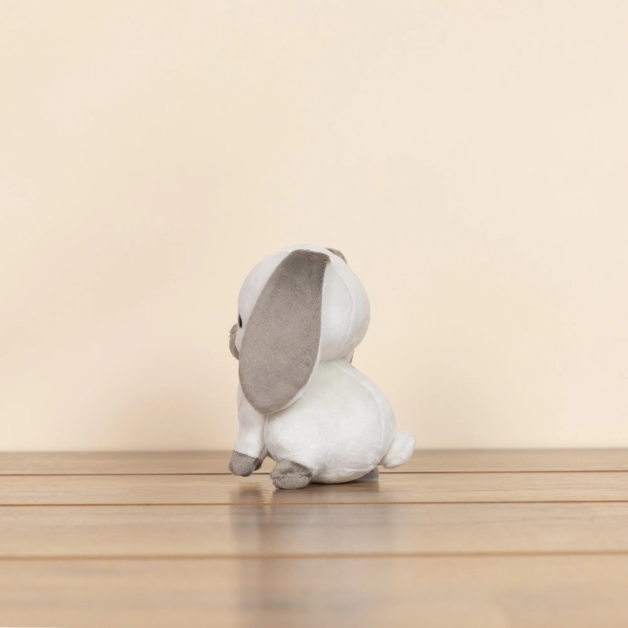 Mini Lop Bunni the Lop Rabbit - Image 4