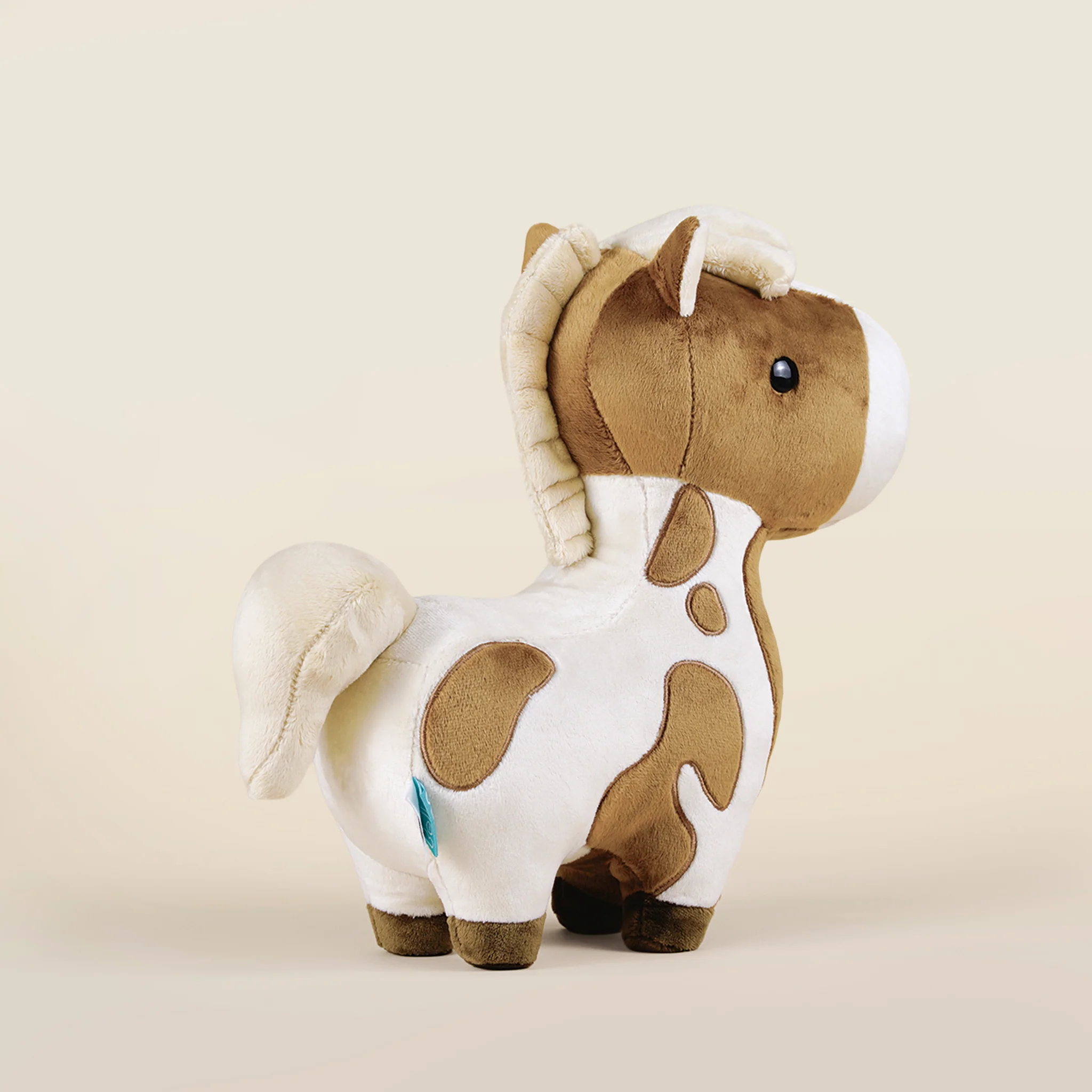 Pinto the Horsi - Image 5