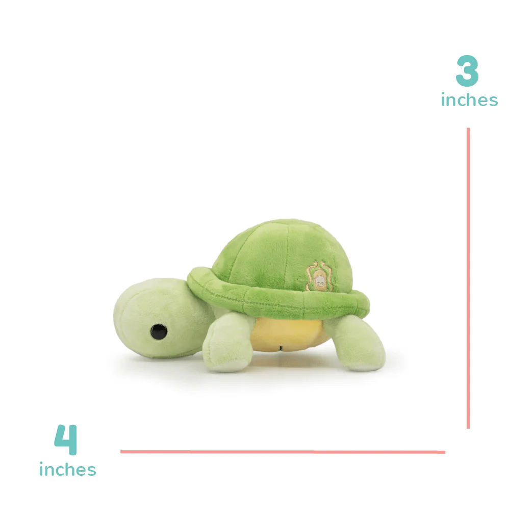 Mini Torti the Tortoise - Image 6