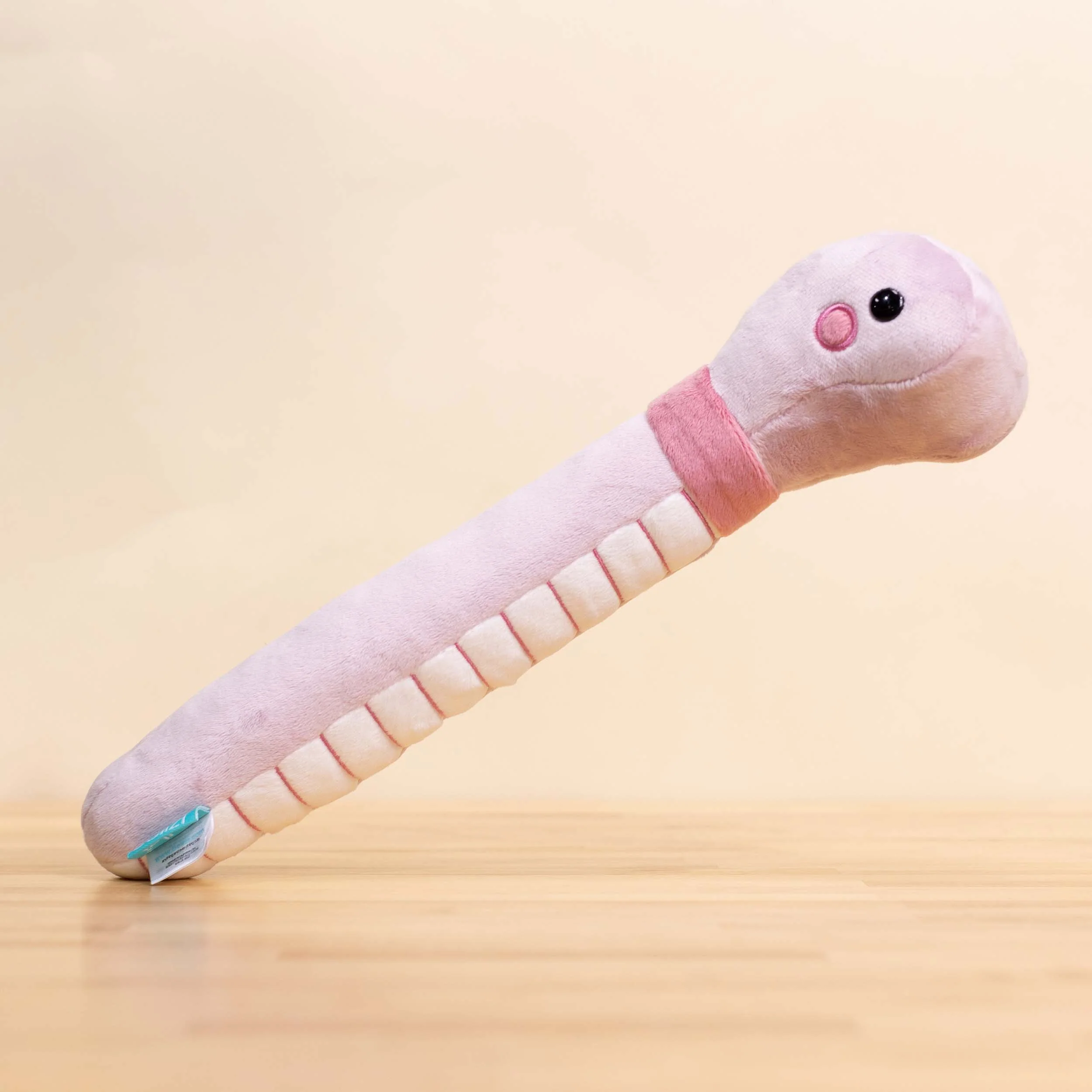 Wormi the Worm - Image 6